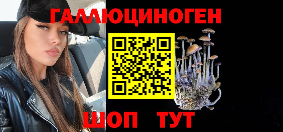 Галлюциногенные грибы Magic Shrooms  Вход с VPN  Шуя  Галлюциногенные грибы мухоморы 
