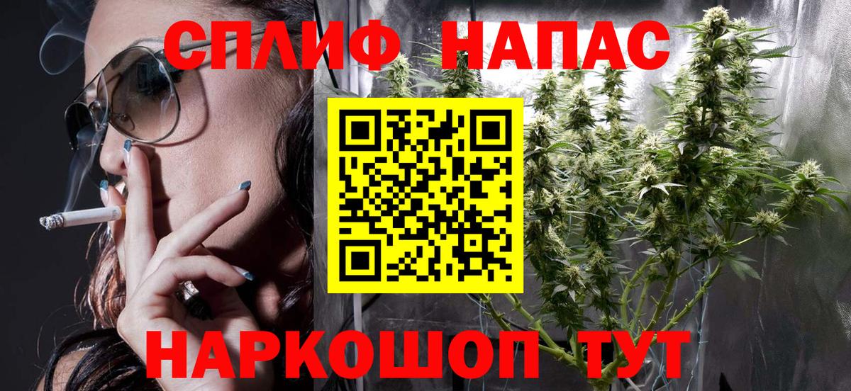 Бошки марихуана сатива Шуя